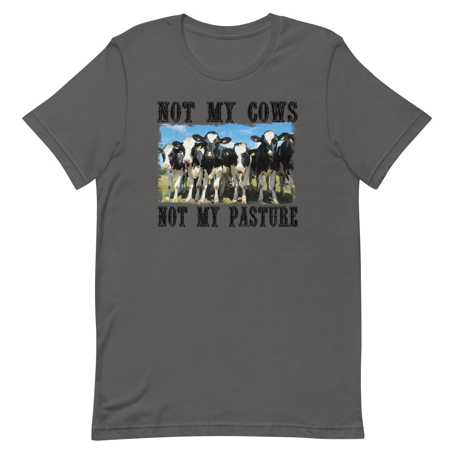 NOT MY COWS NOT MY PASTURE FUNNY SHIRT