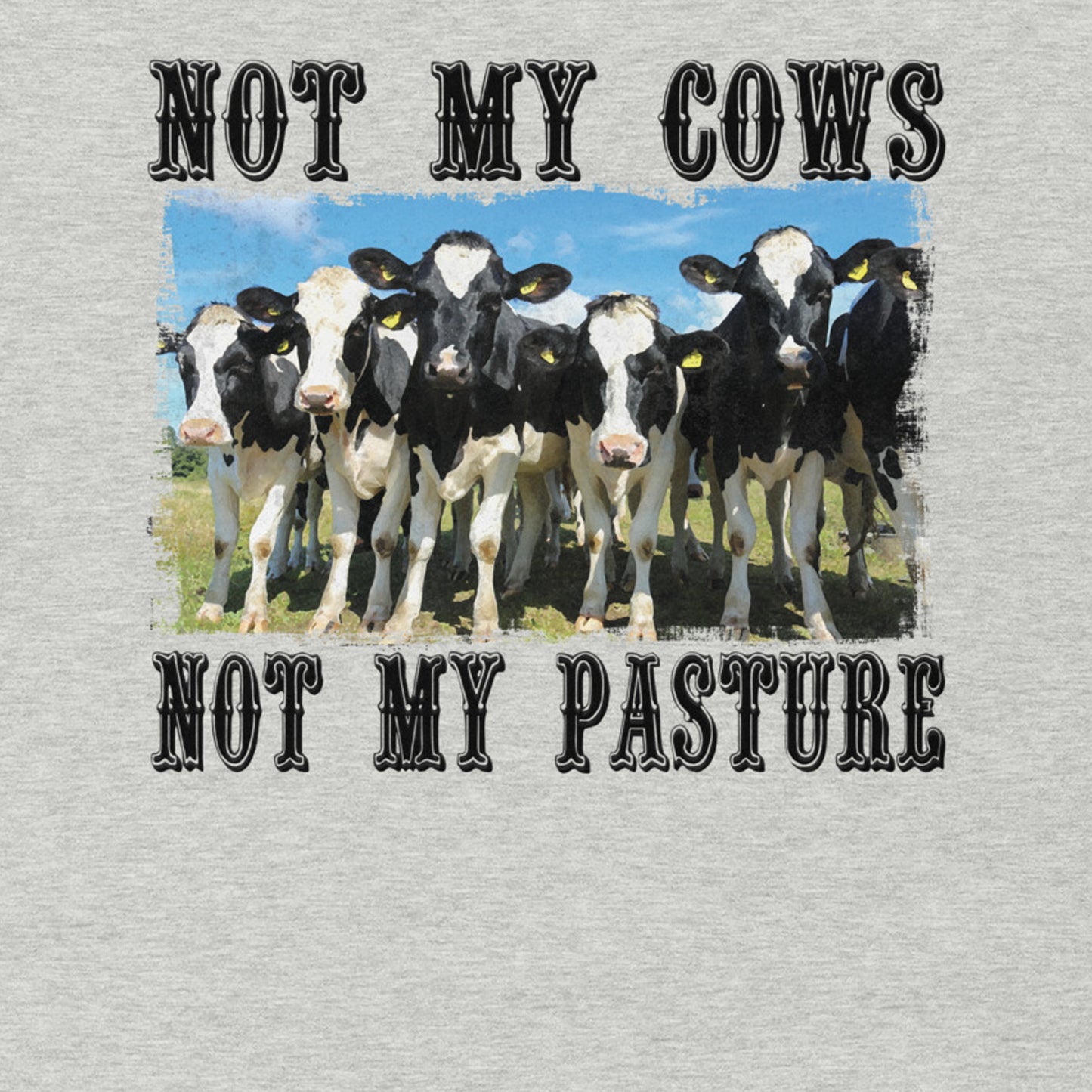 NOT MY COWS NOT MY PASTURE FUNNY SHIRT