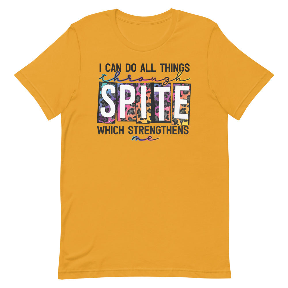 I CAN DO ALL THINGS THROUGH SPITE FUNNY SHIRT