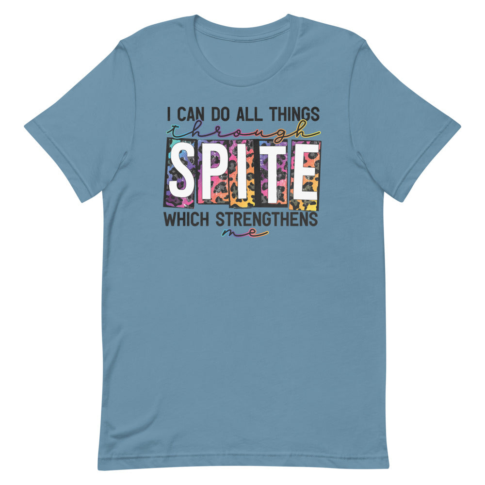 I CAN DO ALL THINGS THROUGH SPITE FUNNY SHIRT